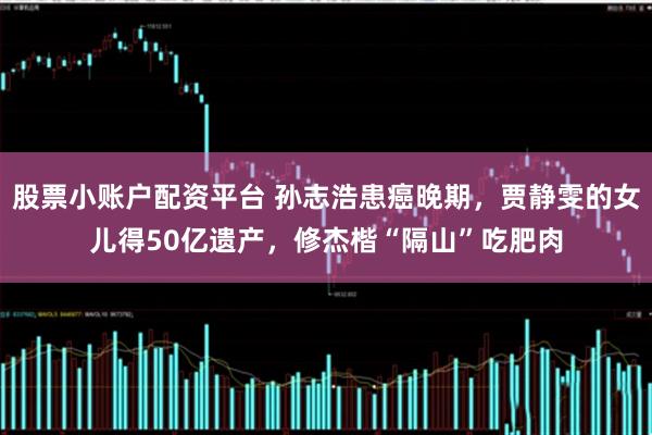 股票小账户配资平台 孙志浩患癌晚期，贾静雯的女儿得50亿遗产，修杰楷“隔山”吃肥肉