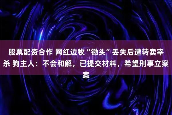 股票配资合作 网红边牧“锄头”丢失后遭转卖宰杀 狗主人：不会和解，已提交材料，希望刑事立案