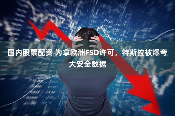 国内股票配资 为拿欧洲FSD许可，特斯拉被爆夸大安全数据
