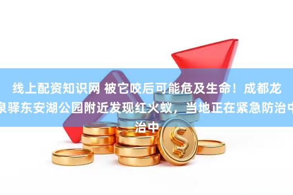 线上配资知识网 被它咬后可能危及生命！成都龙泉驿东安湖公园附近发现红火蚁，当地正在紧急防治中